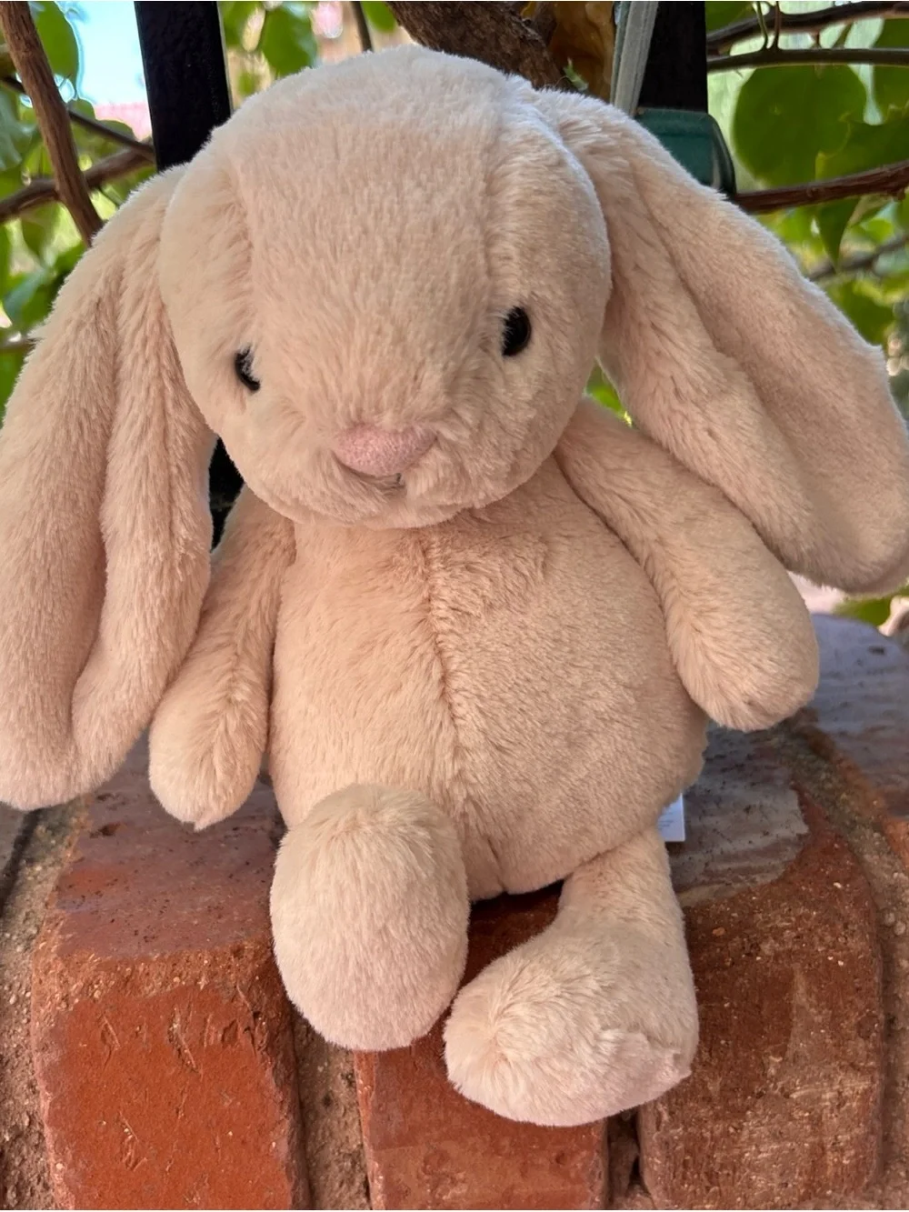EXCLUSIVE Jellycat Bashful BUNNY JUNIOR in-hand Authentic NWT Shanghai creme